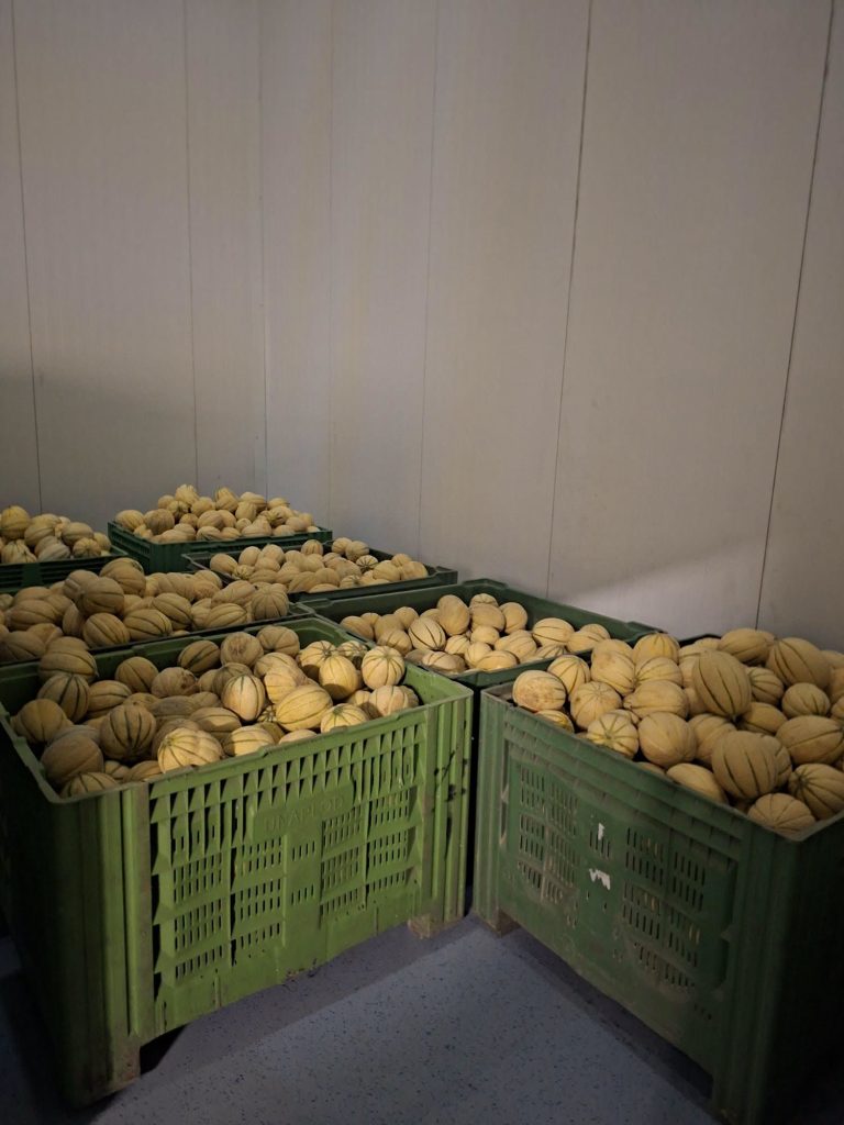 Razmjena iskustava koja povezuje lokalne proizvođače i domaću hranu 6 746430262 1047680067916790 3386419143140589763 n